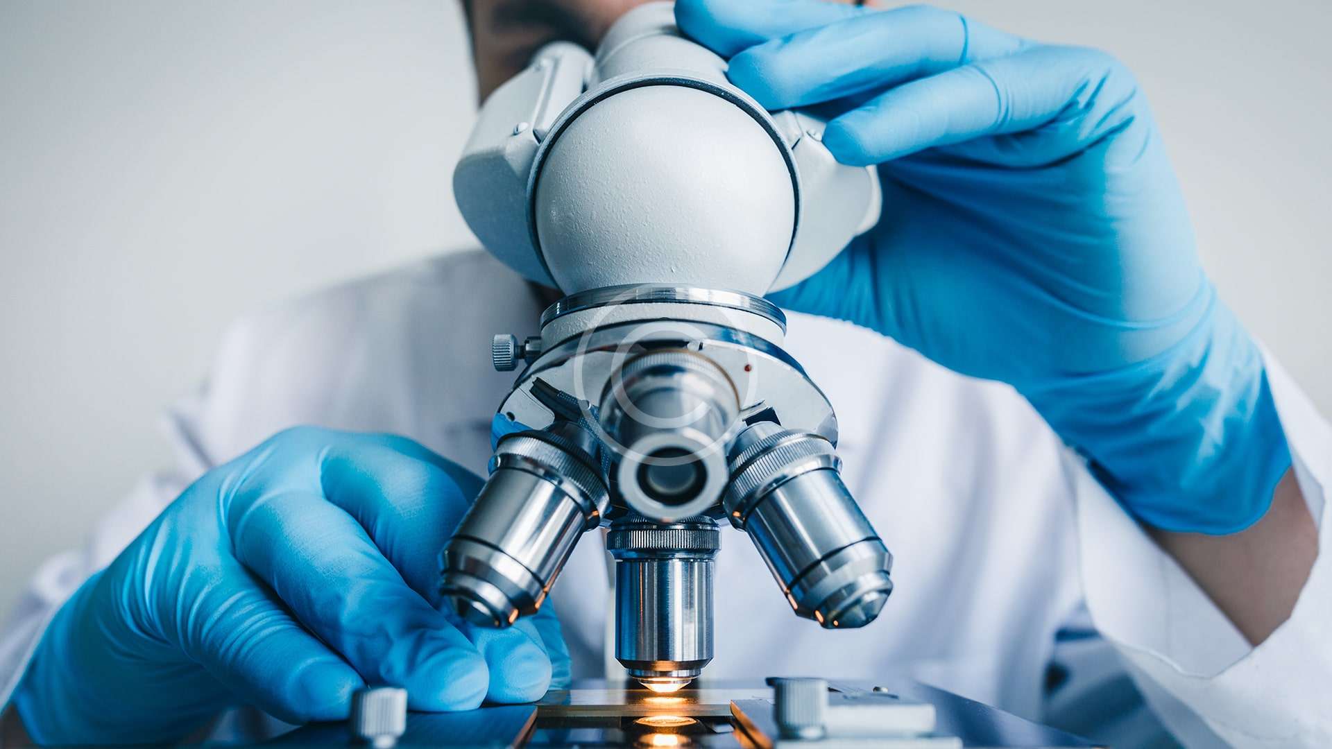 Micro & Nano Chemical & Thermal Analysis
